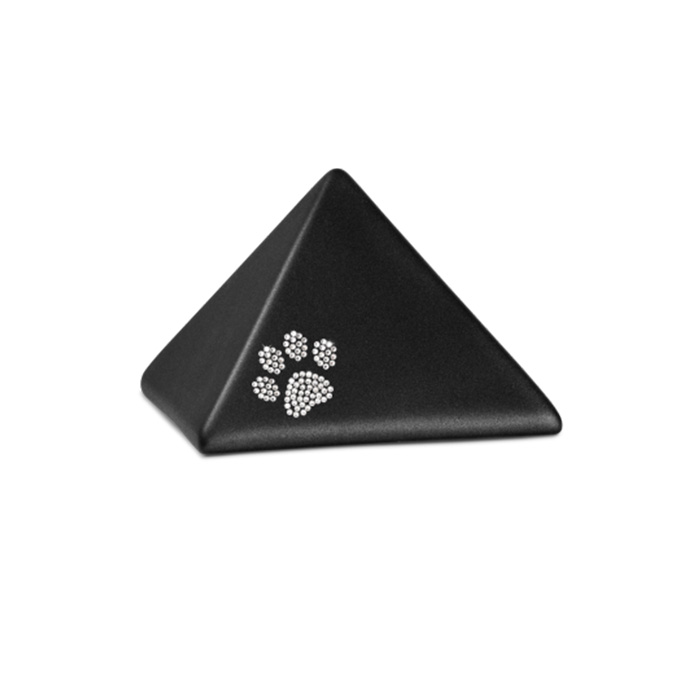 Cliquer pour agrandir l'image